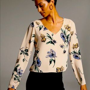 Aritzia Babaton Murphy longsleeve Blouse